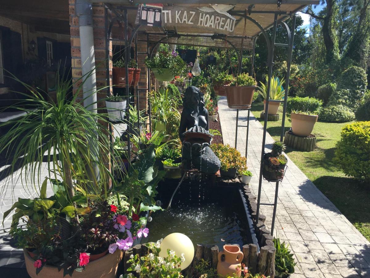 Ti Kaz Hoareau Bed & Breakfast Salazie Bagian luar foto